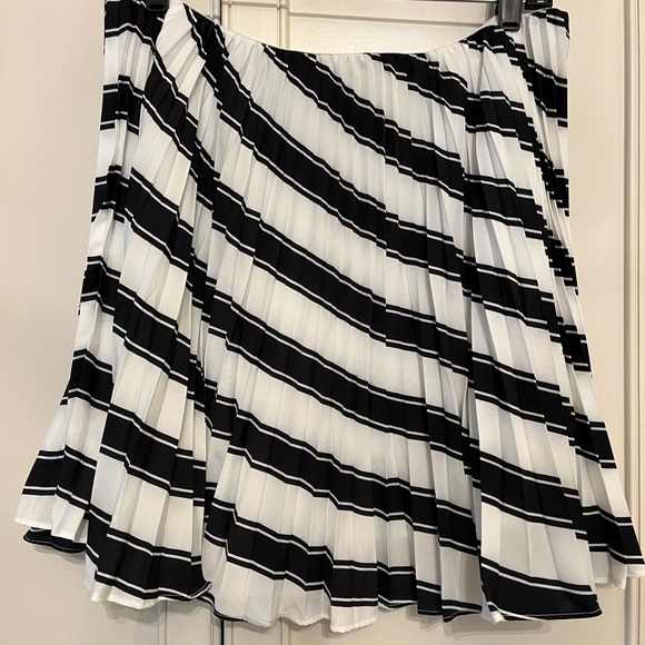 Anthropologie Dresses & Skirts - Anthropologie Black and White Pleated Mini Skirt